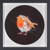 Robin Study II