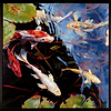 Koi Reflections
