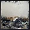 Misted Cove