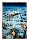 Above The Clouds