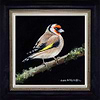 Goldfinch