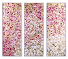 Spring Embrace (Triptych)