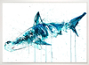 Hammerhead