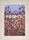 Field Of Poppies