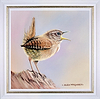 Wren
