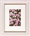 Flower Studies I