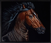 Horse II