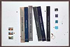 Library Study CXCV