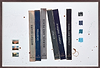 Library Study CXCV