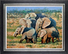 Elephant Evening