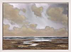 Luminous Coast