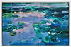 Lily Pond Light