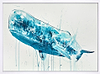 Sperm Whale