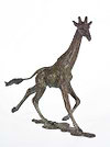 Giraffe Male - 2017