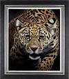 JAGUAR (Framed)