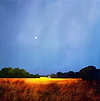 The House Beneath the Moon
