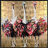 Ladies Night II (Framed)