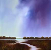 Whispers of the Wetlands