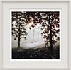 Woodland Harmony