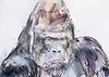 Silverback II
