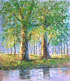 Silence in the Forest III