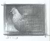Chicken (Study)