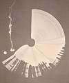 Large Brushstroke Cream