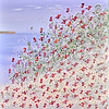 Coastal Wildflowers II