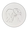 Elephant Study XXX