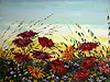 Colourful and Floral
