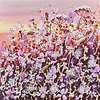 Wildflowers at Sunset II