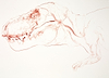 T Rex VIII