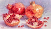 Pomegranates II