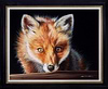 Golden Eyes (Framed)