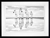 Calm Waters (Framed)