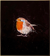 Robin