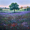 Campos de Lilas