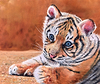 Innocence
