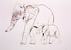 Elephants II