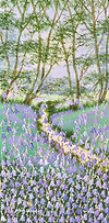 A Walk Through the Woodland