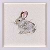 Little Bun (Framed)