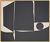 Irregular Shape I