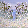 Bluebells on the Coast