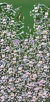 Fieldmouse and Florals at Night III