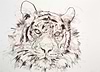 Tiger II (Study)