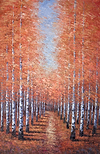 Enchanted Woodland V