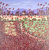 Poppies and Bluebells VI