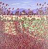 Poppies and Bluebells VI