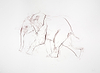 Young Elephant Sketch V