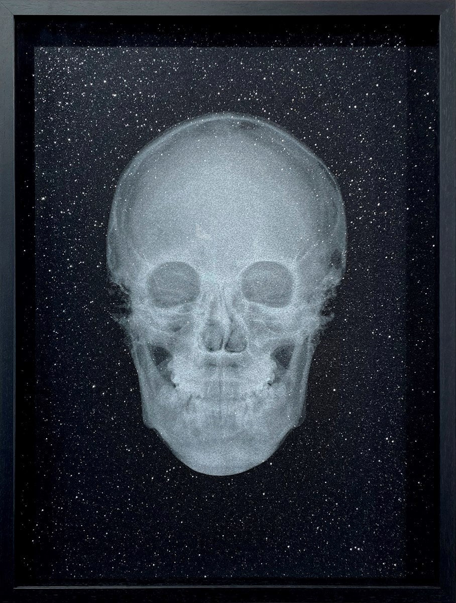Nick Veasey - Buy Limited Edition Art – Clarendon Fine Art